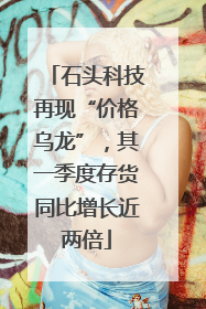石头科技再现“价格乌龙”，其一季度存货同比增长近两倍