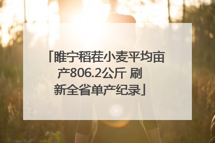 睢宁稻茬小麦平均亩产806.2公斤 刷新全省单产纪录