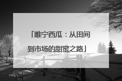 睢宁西瓜：从田间到市场的甜蜜之路