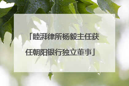 睦湃律所杨毅主任获任朝阳银行独立董事