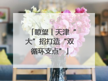 瞭望丨天津“大”招打造“双循环支点”
