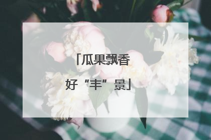 瓜果飘香 好“丰”景