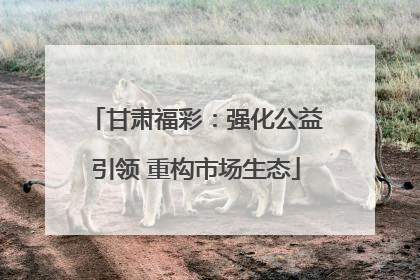 甘肃福彩：强化公益引领 重构市场生态