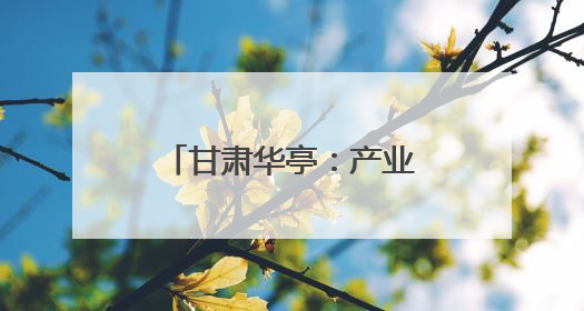 甘肃华亭：产业链群蓬勃起势 工业发展强劲有力