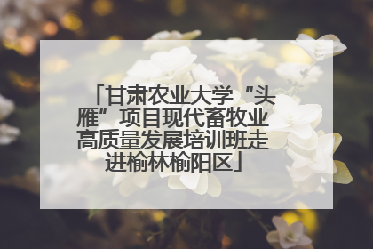 甘肃农业大学“头雁”项目现代畜牧业高质量发展培训班走进榆林榆阳区