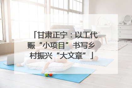 甘肃正宁：以工代赈“小项目”书写乡村振兴“大文章”