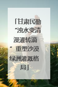甘肃民勤“浊水变清 漫灌转滴”重塑沙漠绿洲灌溉格局