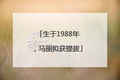 生于1988年，马丽拟获提拔
