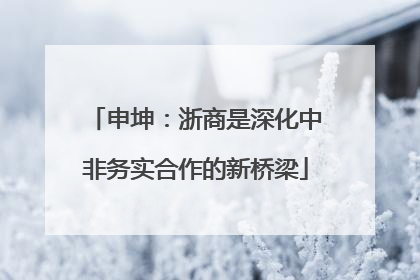 申坤：浙商是深化中非务实合作的新桥梁