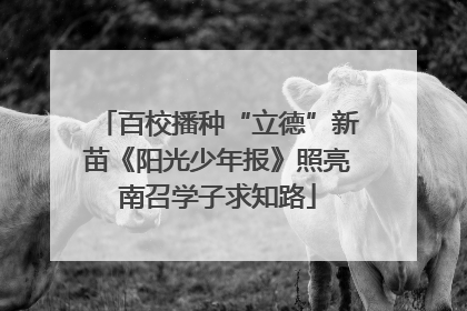 百校播种“立德”新苗《阳光少年报》照亮南召学子求知路