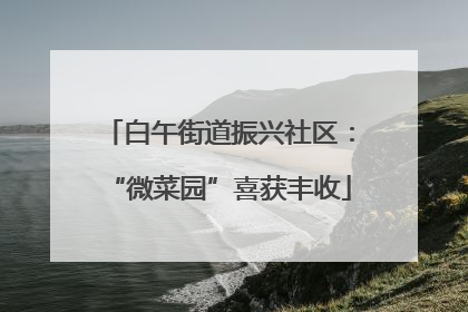 白午街道振兴社区：“微菜园”喜获丰收