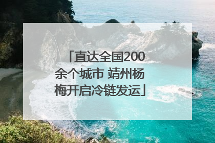 直达全国200余个城市 靖州杨梅开启冷链发运