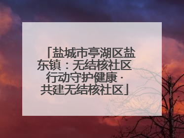 盐城市亭湖区盐东镇：无结核社区行动守护健康 ·共建无结核社区