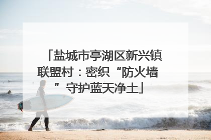 盐城市亭湖区新兴镇联盟村：密织“防火墙”守护蓝天净土