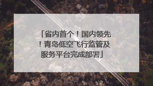 省内首个！国内领先！青岛低空飞行监管及服务平台完成部署