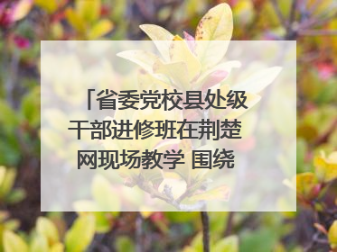 省委党校县处级干部进修班在荆楚网现场教学 围绕网络综合治理工作展开交流
