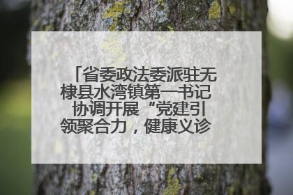省委政法委派驻无棣县水湾镇第一书记 协调开展“党建引领聚合力，健康义诊惠乡亲”义诊活动