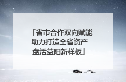 省市合作双向赋能 助力打造全省资产盘活益阳新样板