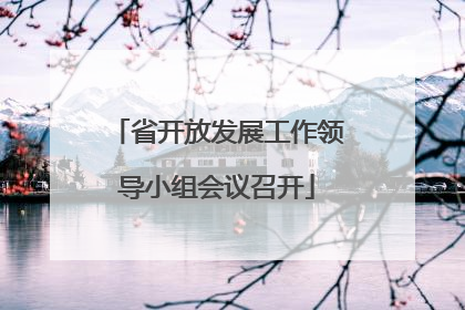 省开放发展工作领导小组会议召开