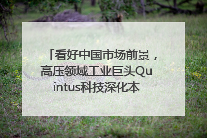 看好中国市场前景，高压领域工业巨头Quintus科技深化本土策略，构建全方位服务亚太区总部