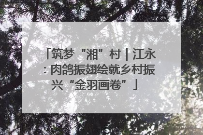 筑梦“湘”村｜江永：肉鸽振翅绘就乡村振兴“金羽画卷”