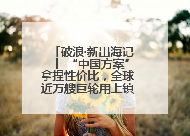 破浪·新出海记丨 “中国方案”拿捏性价比，全球近万艘巨轮用上镇江“节能桨”