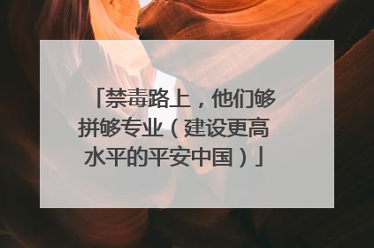禁毒路上，他们够拼够专业（建设更高水平的平安中国）