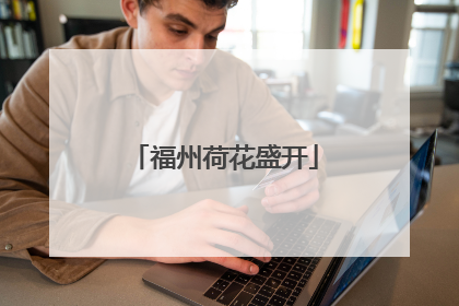 福州荷花盛开