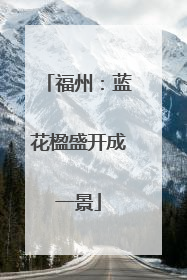 福州：蓝花楹盛开成一景
