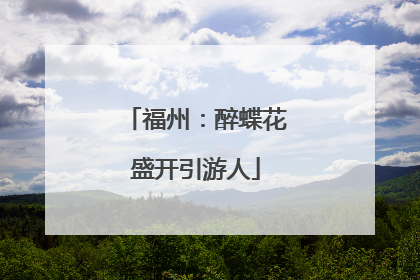 福州：醉蝶花盛开引游人