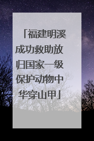 福建明溪成功救助放归国家一级保护动物中华穿山甲