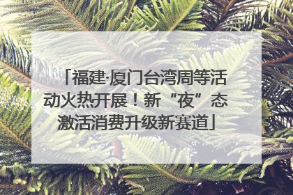 福建·厦门台湾周等活动火热开展！新“夜”态激活消费升级新赛道