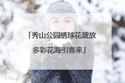 秀山公园绣球花盛放 多彩花海引客来
