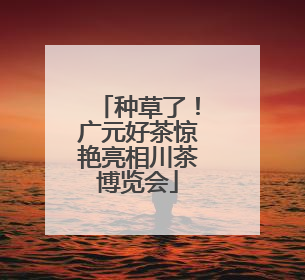种草了！广元好茶惊艳亮相川茶博览会