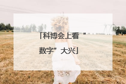 科博会上看“数字”大兴