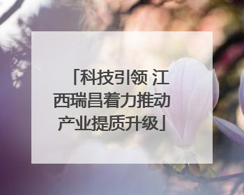 科技引领 江西瑞昌着力推动产业提质升级