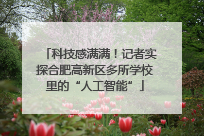 科技感满满！记者实探合肥高新区多所学校里的“人工智能”