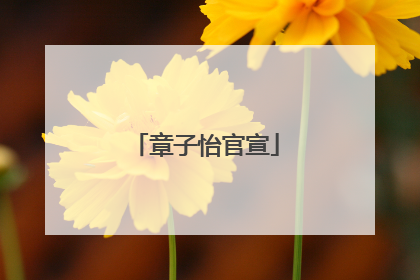 章子怡官宣
