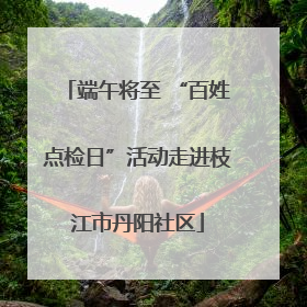端午将至 “百姓点检日”活动走进枝江市丹阳社区