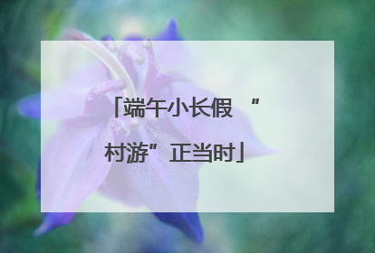 端午小长假 “村游”正当时