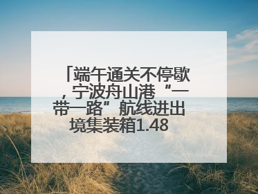 端午通关不停歇，宁波舟山港“一带一路”航线进出境集装箱1.48万标箱