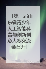 第三届山东省青少年人工智能科普与创新创意大赛交流会召开