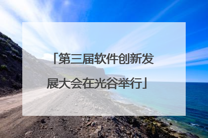 第三届软件创新发展大会在光谷举行