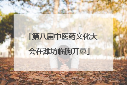 第八届中医药文化大会在潍坊临朐开幕