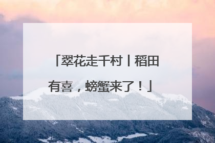 翠花走千村丨稻田有喜，螃蟹来了！