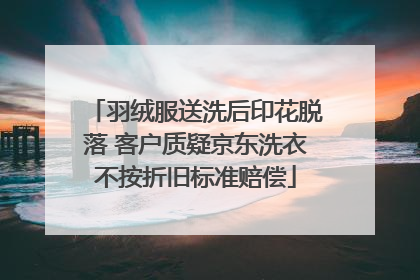 羽绒服送洗后印花脱落 客户质疑京东洗衣不按折旧标准赔偿