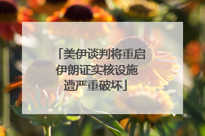 美伊谈判将重启 伊朗证实核设施遭严重破坏