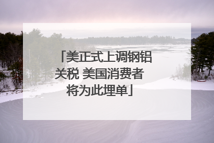 美正式上调钢铝关税 美国消费者将为此埋单