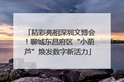 精彩亮相深圳文博会！聊城东昌府区“小葫芦”焕发数字新活力