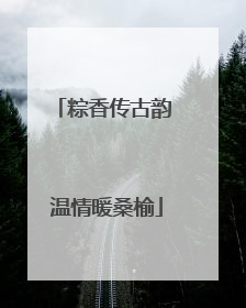 粽香传古韵 温情暖桑榆